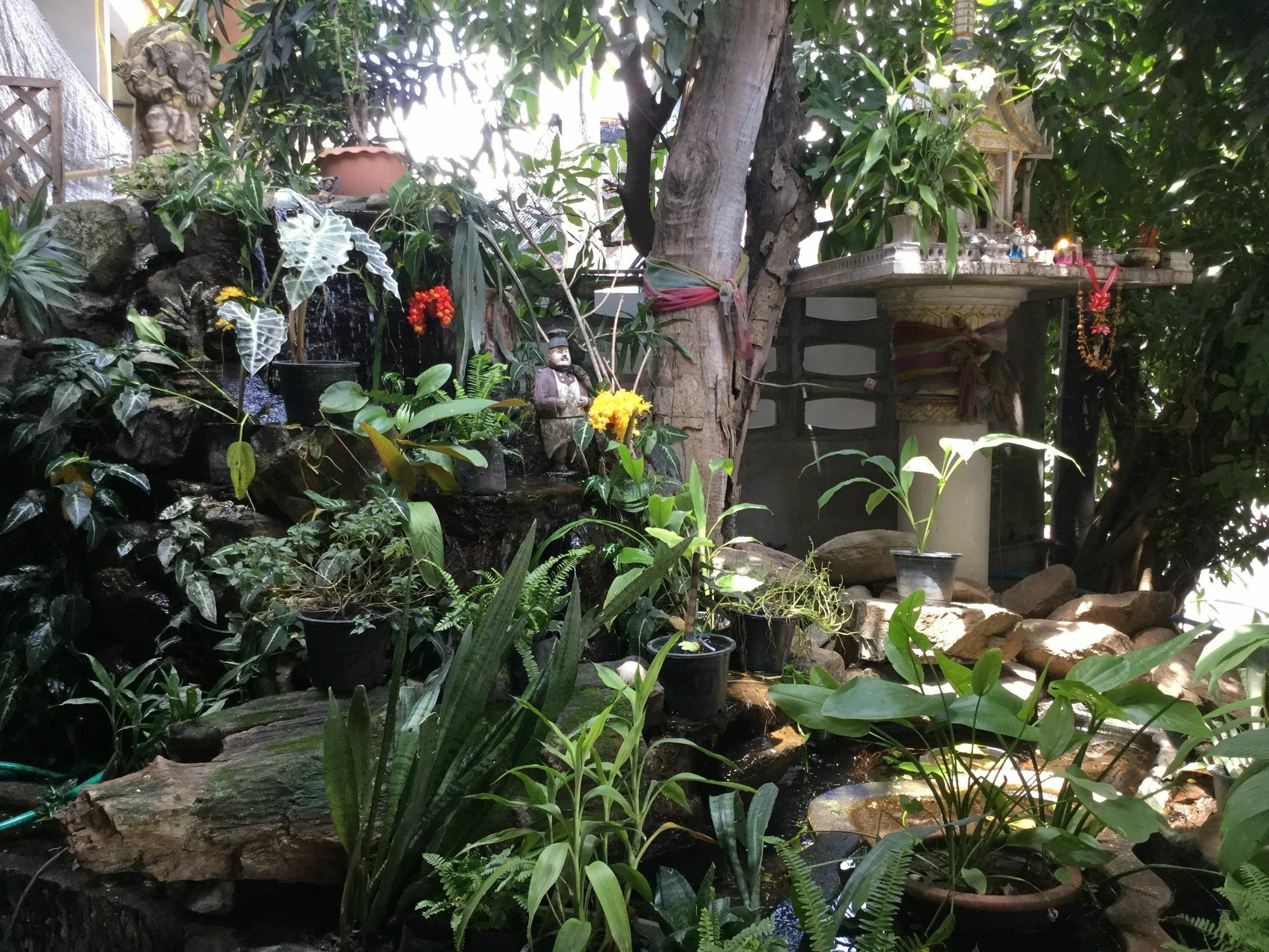 Rose Guest House Τσιάνγκ Μάι Εξωτερικό φωτογραφία